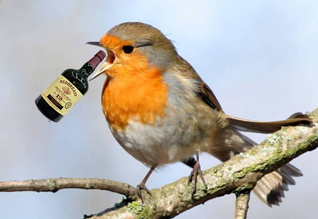 Red Nose, Redbreast